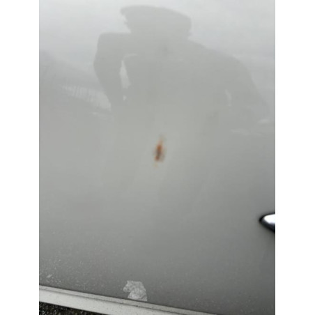 Porte avant gauche ALFA ROMEO MITO