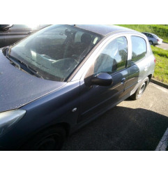 Porte avant droit PEUGEOT 206+ Photo n°6