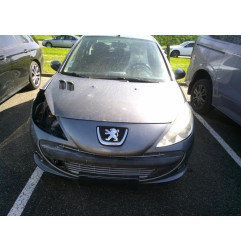 Porte avant droit PEUGEOT 206+ Photo n°7