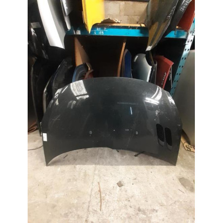 Capot PEUGEOT 206+ Photo n°1