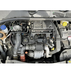 Porte arriere gauche CITROEN C4 CACTUS Photo n°8