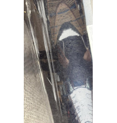 Porte arriere gauche BMW SERIE 7 F01 Photo n°3