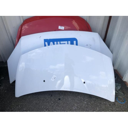 Capot RENAULT CLIO 3 Photo n°1