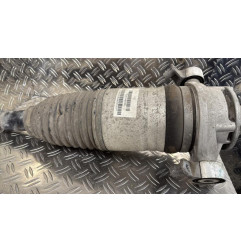 Amortisseur arriere gauche PORSCHE CAYENNE 2