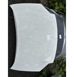 Capot PEUGEOT PARTNER 1 Photo n°1