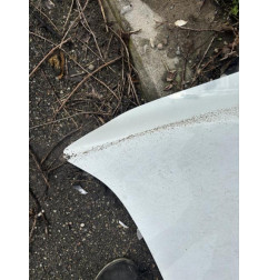 Capot RENAULT MEGANE 3 Photo n°1