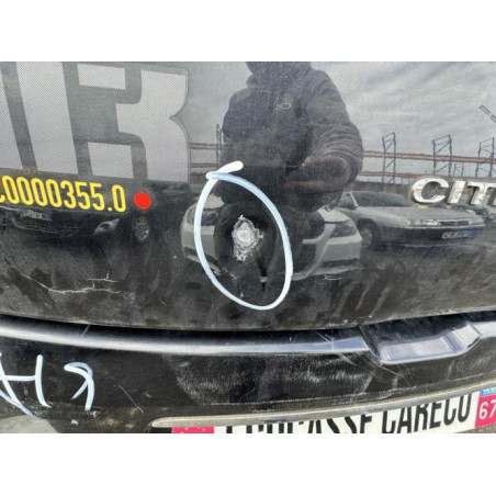 Malle/Hayon arriere CITROEN DS3 Photo n°1