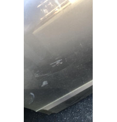 Porte arriere gauche RENAULT SCENIC 3 Photo n°3