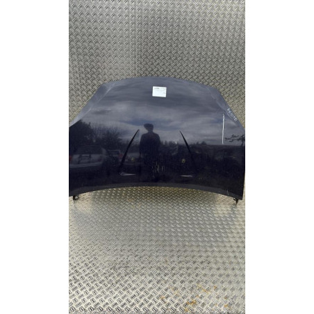 Capot DACIA SANDERO 1 Photo n°1