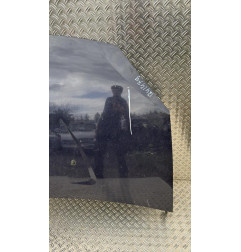 Capot DACIA SANDERO 1 Photo n°4