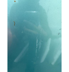 Capot CITROEN BERLINGO 1 Photo n°6