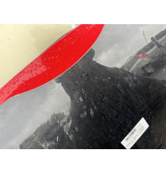 Capot RENAULT TWINGO 2 Photo n°1