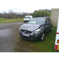 Porte arriere gauche NISSAN QASHQAI 1 Photo n°10