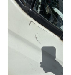 Porte avant droit IVECO DAILY 4 Photo n°3