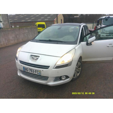 Porte arriere gauche PEUGEOT 5008 1