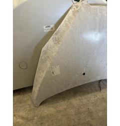 Capot PEUGEOT 307 Photo n°1