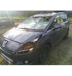 Porte avant gauche PEUGEOT 5008 1 Photo n°6