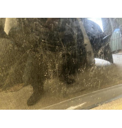 Capot CITROEN C4 GRAND PICASSO 1 Photo n°4