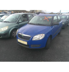 Porte arriere droit SKODA FABIA 2 Photo n°5
