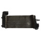 Echangeur air (Intercooler) FORD FOCUS 3