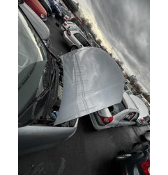 Porte arriere gauche VOLKSWAGEN TOURAN 1 Photo n°13