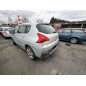 Hayon inferieur PEUGEOT 3008 1