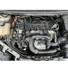 Ceinture avant droit FORD FOCUS 2 Photo n°19