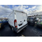 Alternateur FIAT DUCATO 3