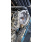 Boite de vitesses KIA PICANTO 2