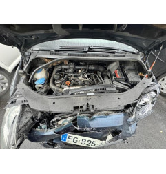 Porte arriere gauche VOLKSWAGEN GOLF PLUS Photo n°15