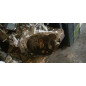 Boite de vitesses CITROEN C5 2