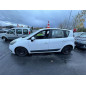 Porte arriere gauche RENAULT SCENIC 3