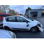 Porte arriere gauche RENAULT SCENIC 3