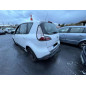 Porte arriere gauche RENAULT SCENIC 3