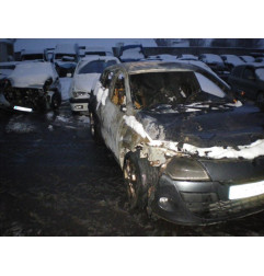 Porte avant gauche RENAULT MEGANE 3 Photo n°3