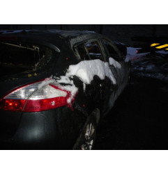 Porte avant gauche RENAULT MEGANE 3 Photo n°5