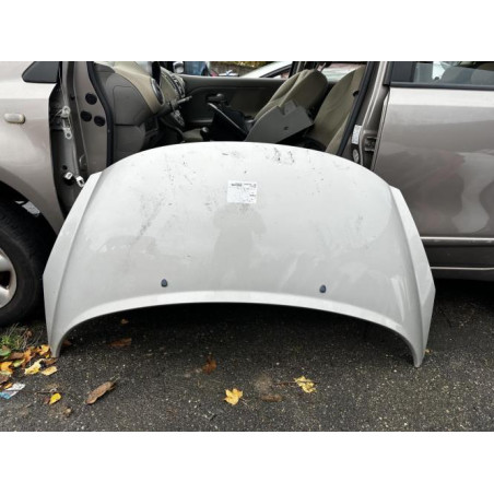 Capot PEUGEOT 207 Photo n°1