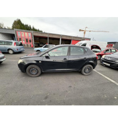 Porte arriere gauche SEAT IBIZA 4 Photo n°12