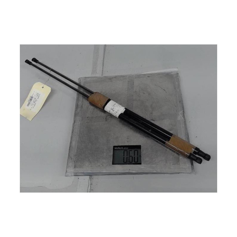 Verin de coffre NISSAN JUKE 1