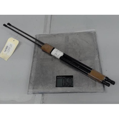 Verin de coffre NISSAN JUKE 1 Photo n°1