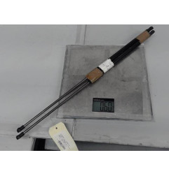 Verin de coffre NISSAN JUKE 1