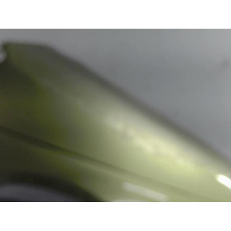 Aile avant droit RENAULT SCENIC 1