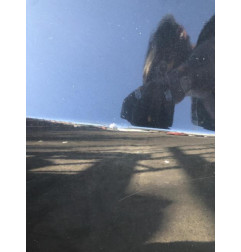 Porte avant droit CHEVROLET AVEO 2