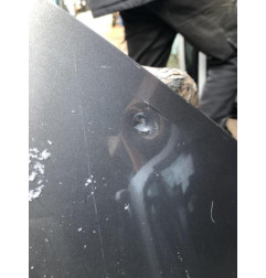 Porte arriere gauche RENAULT LAGUNA 3