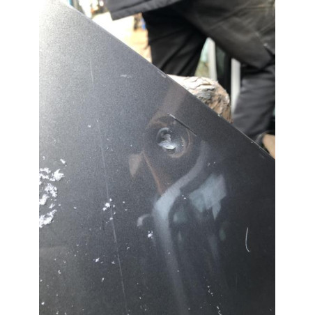 Porte arriere gauche RENAULT LAGUNA 3