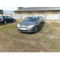 Porte arriere gauche RENAULT LAGUNA 3