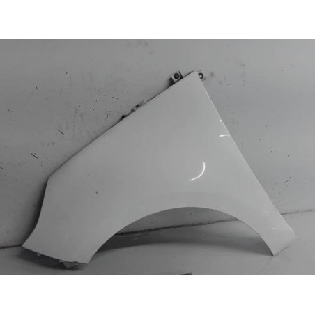 Aile avant gauche RENAULT SCENIC 3 Photo n°1