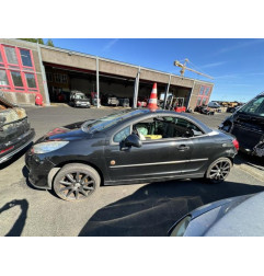 Malle/Hayon arriere PEUGEOT 207 Photo n°16