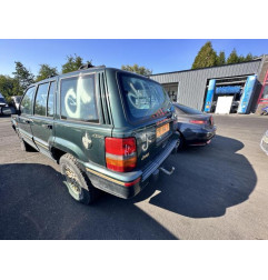 Porte arriere gauche JEEP GRAND CHEROKEE 1 Photo n°13