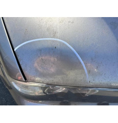 Cache moteur  BMW X5 E53 Photo n°4